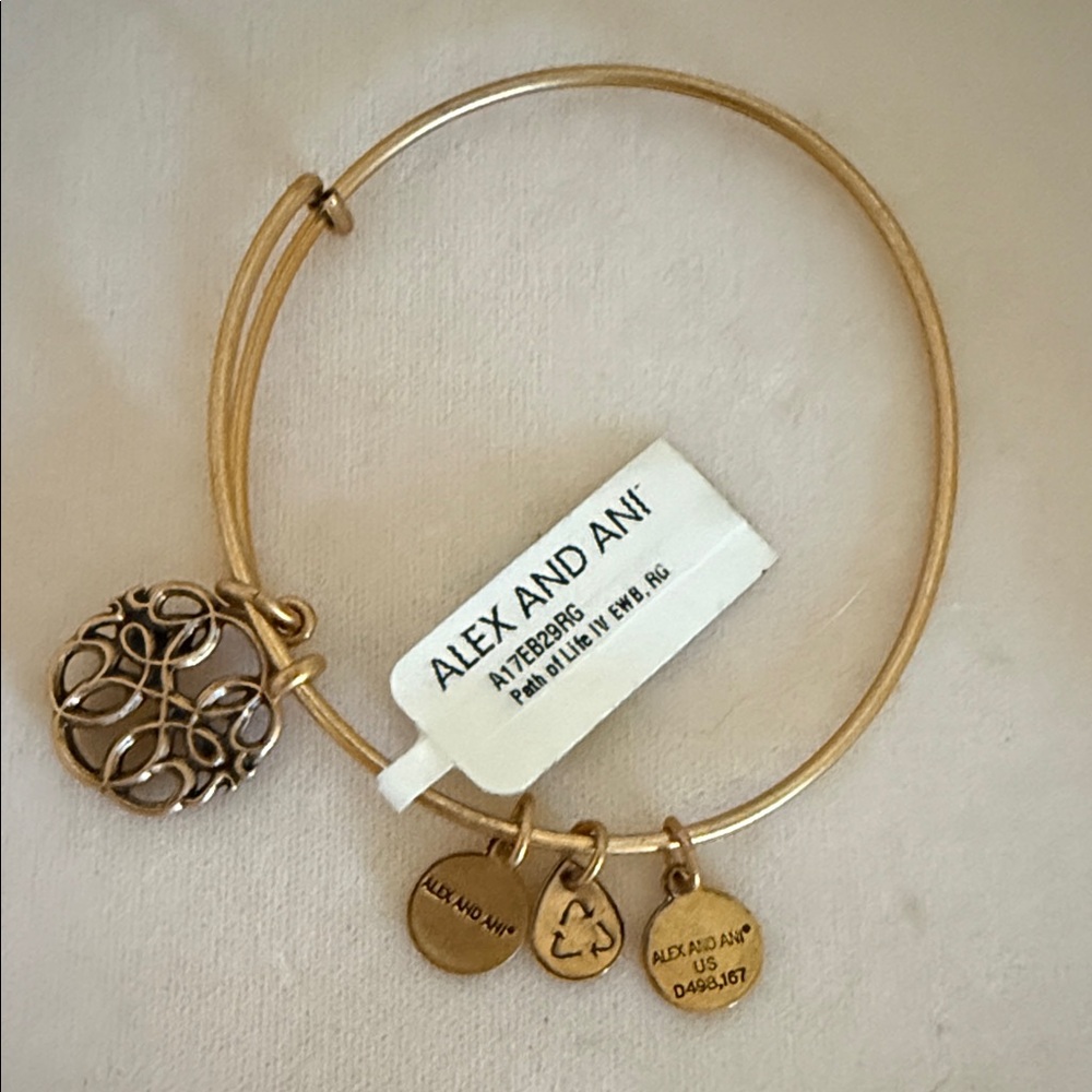 Alex and Ani Gold Charm Bangle